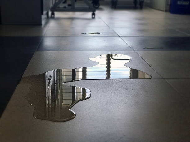 Best Water damage restoration near me  in Blythe, CA