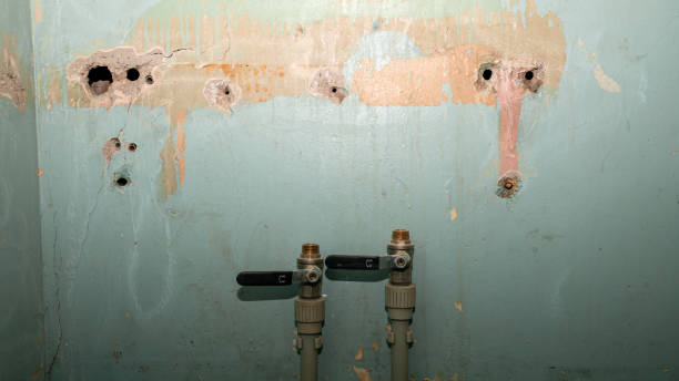  Blythe, CA Water damage restoration Pros