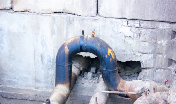 Best Local water damage restoration  in Blythe, CA