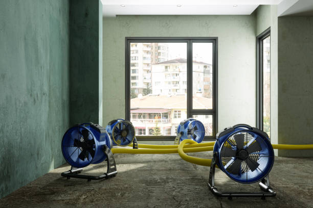 Best Water damage contractors near me  in Blythe, CA
