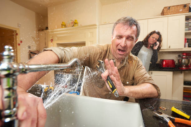 Best Professional water damage repair  in Blythe, CA